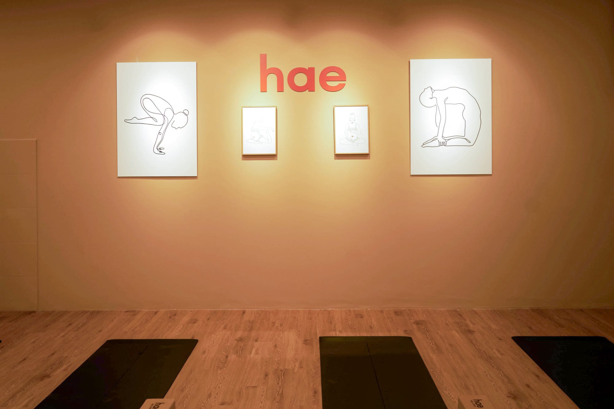 The Hae Studio signage wall